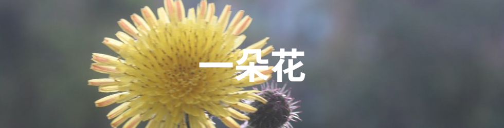 һ仨